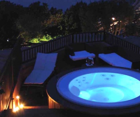 Спа бассейн Jacuzzi Alimia Professional Спа бассейн Jacuzzi Alimia Professional